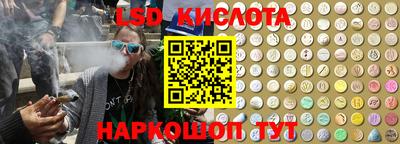 амф Шахты