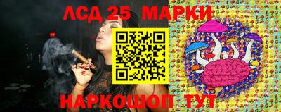 амф Шахты