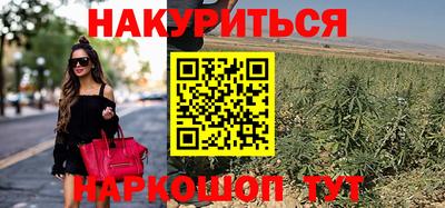 ECSTASY Шелехов
