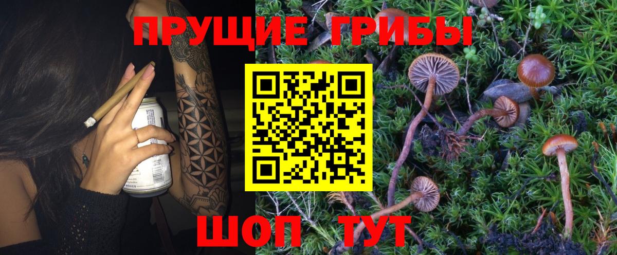 Псилоцибиновые грибы MAGIC MUSHROOMS  Галлюциногенные грибы Cubensis  Белорецк  Вход с VPN 